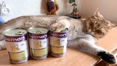 Thức ăn cho mèo và mèo Gemon