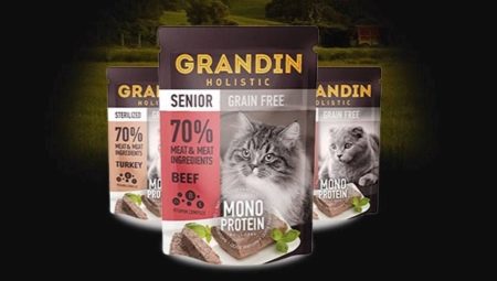 Makanan untuk kucing dan kucing Grandin Holistic