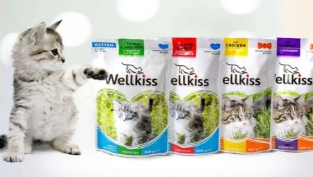 Nourriture pour chat Wellkiss