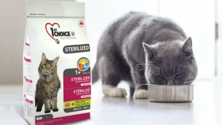 Recenze krmiva 1st CHOICE pro kočky a kočky