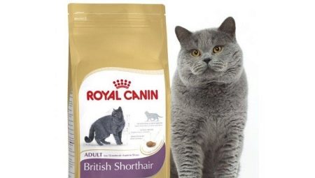 Revisión de la comida ROYAL CANIN para gatos británicos