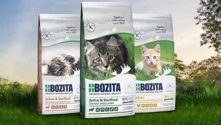 Beoordeling van voer voor katten en katten Bozita