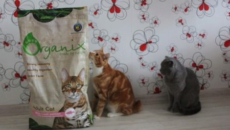 Recenzja karmy Organix dla kotów