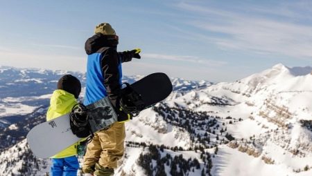 Burtonov pregled snowboarda