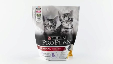 Revisão do plano Purina Pro de alimentos secos para gatinhos