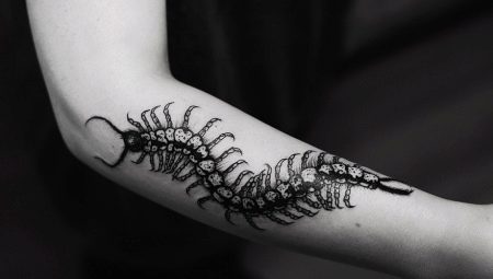 Scolopendra tattoo review