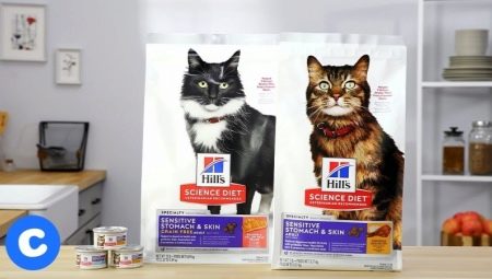 Opis i skład suchej karmy Hill's dla kotów