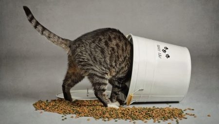 คำอธิบายของอาหารสำหรับแมวและแมว Zoomenu