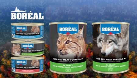 Features of Boreal feed