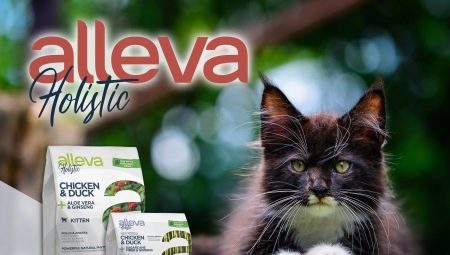 Характеристики на храната за котки и котки Alleva