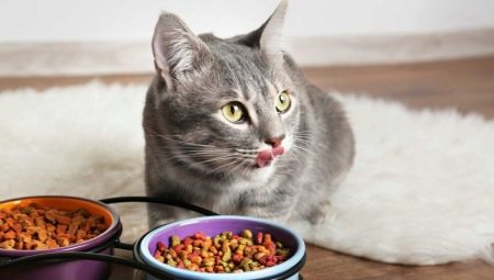 Характеристики на храната Natural Trainer за котки и котки