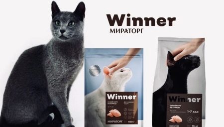 Vlastnosti krmiva pre mačky a mačky Winner