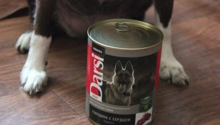 Ciri-ciri makanan anjing Darsi