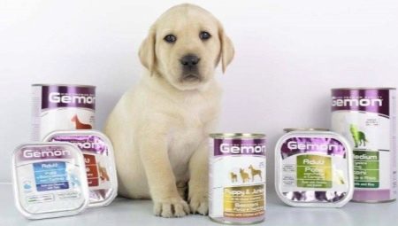 Caracteristicile hranei pentru câini Gemon