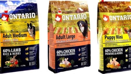 Ciri-ciri makanan anjing Ontario