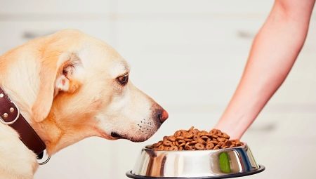 Ciri-ciri makanan anjing PURINA ONE