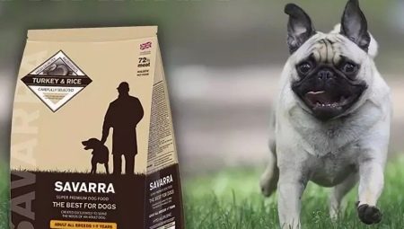 Ciri-ciri makanan anjing SAVARRA