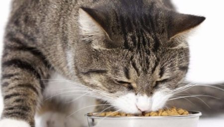 Đặc điểm của thức ăn cho mèo tiệt trùng GRANDORF