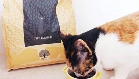 Vlastnosti krmiva pre mačky Jaguar