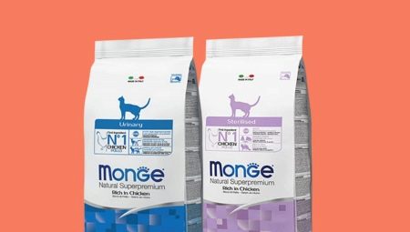 Ciri-ciri makanan Monge untuk anak kucing