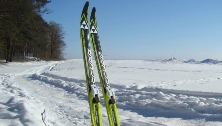 Kenmerken van kunststof ski's