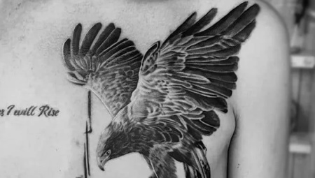 Features of a tattoo with a falcon