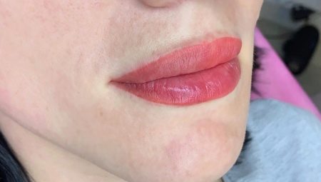 Maquillaje de labios en polvo: ¿quién debe elegir esta técnica y cuándo?