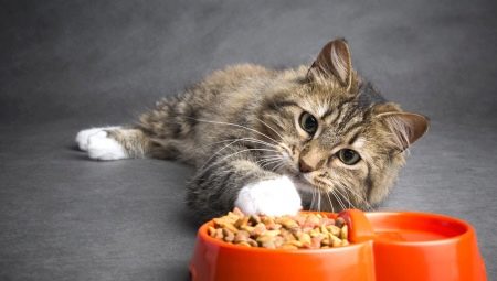 Purina Cat Chow dla kotów wykastrowanych i wykastrowanych