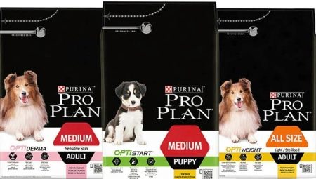 Pelan Purina Pro untuk Anjing Baka Sederhana