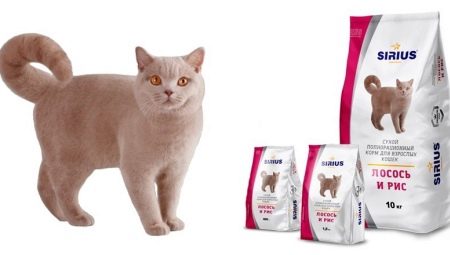 Variedade Sirius de comida para gatos e gatos