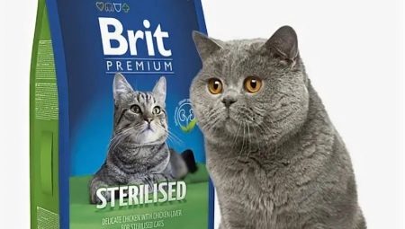Pelbagai makanan kucing steril Brit