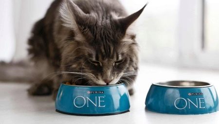 Variedad de comida seca para gatos PURINA ONE