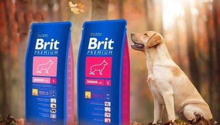 Brit iba't-ibang dry dog ​​food