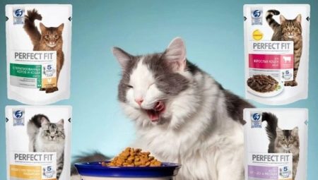Makanan kering untuk kucing PERFECT FIT