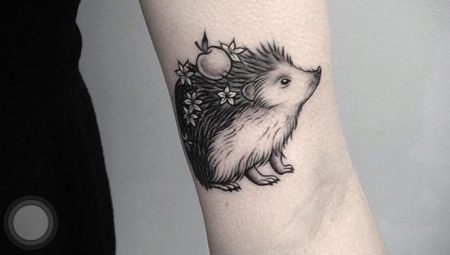 Tetovanie ježka