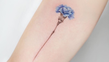 Búzavirág tetoválás