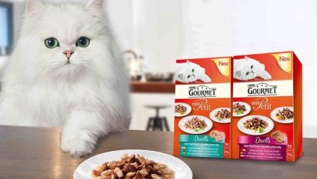 Tudo sobre comida de gato gourmet