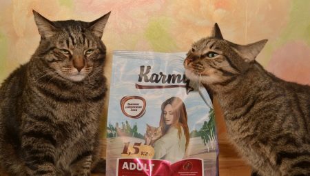 Vše o krmivu pro kočky a kočky Karmy