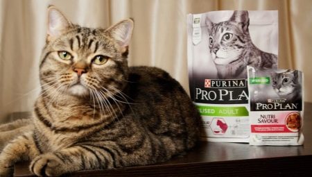 Tout sur la nourriture pour chats et chats Purina Pro Plan