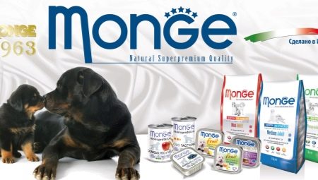 Všetko o krmive pre šteniatka Monge