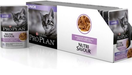 Všetko o krmive pre mačiatka Purina Pro Plan