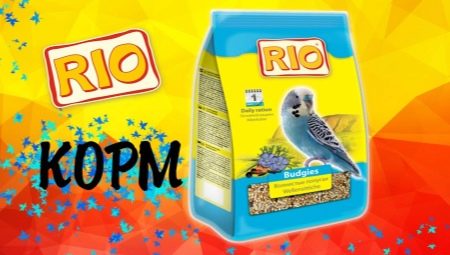 All about RIO feed