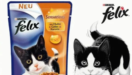 Semua tentang makanan Felix untuk anak kucing