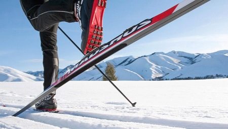 Giới thiệu về Ski Madshus