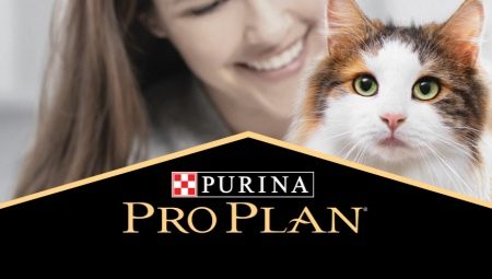 ทั้งหมดเกี่ยวกับอาหารแห้งสำหรับแมวและแมว Purina Pro Plan