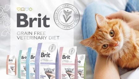 Všetko o suchom krmive pre mačky Brit