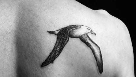 Lahat ng tungkol sa Seagull tattoo