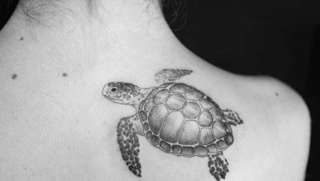 Wszystko o tatuażu z żółwiem