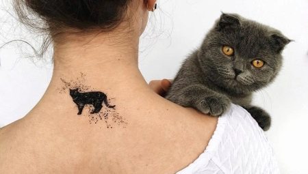 Wszystko o tatuażu kota