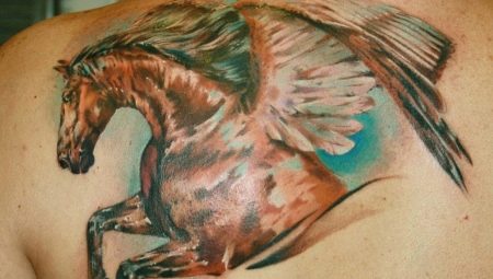 Vše o tetování Pegasus